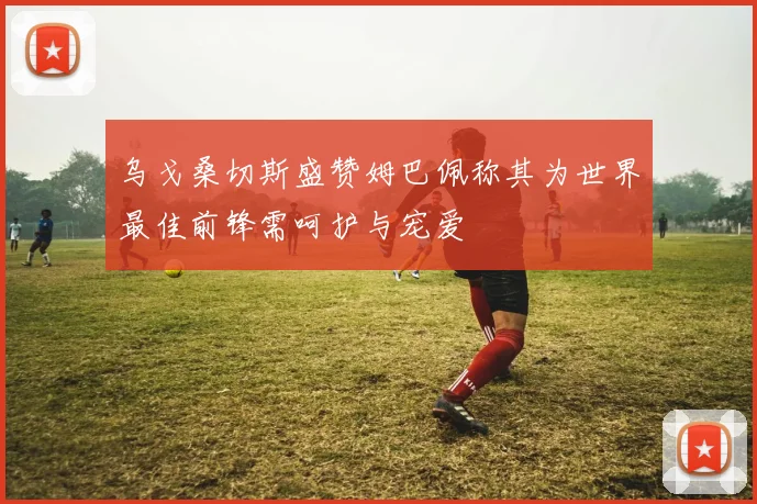乌戈桑切斯盛赞姆巴佩称其为世界最佳前锋需呵护与宠爱